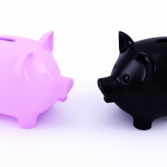 Bleķis un patiesība par valsts pārvaldi