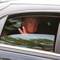 Tramps nodod dēliem