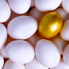 Aizdevuma saņemšanai komercbankā uzņēmumi varēs piesaistīt Altum garantiju līdz pat 3 miljoniem eiro