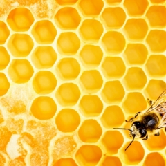 Sagatavoti grozījumi Darba likumā