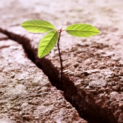 Stājas spēkā jaunuzņēmumu atbalsta programmu pieteikšanas un administrēšanas kārtība