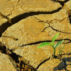 Ierosināta lieta par normām, kas paredz izmaiņas piespiedu zemes nomas maksas aprēķināšanā