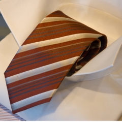 Būtiski pieaugs Tieslietu padomes loma 