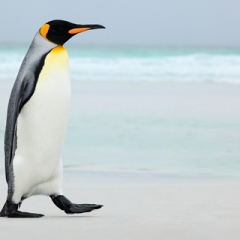 Eiropas Komisija apgriež reversajam PVN spārnus