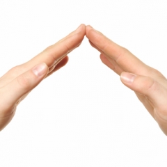 FM aizstāvēs reverso PVN