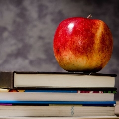 Vērtēs Augstskolu likuma normu atbilstību Satversmei