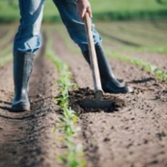 NĪN papildlikmes maksāšanas pienākums neizbeidzas ar īpašuma atsavināšanu