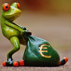 Par skaidras naudas nelegālu izvešanu no valsts