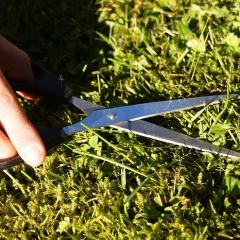 Lietā par platību maksājumiem aptur tiesvedību