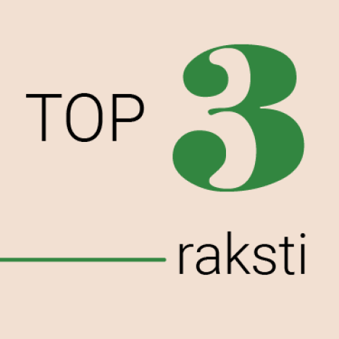 TOP3: Darbinieks atsakās strādāt klātienē, atbildība par uzņēmuma mantu un informācija par radniecību
