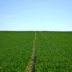 Uzliek sodu par negodīgu zemes nomas maksas piedziņu
