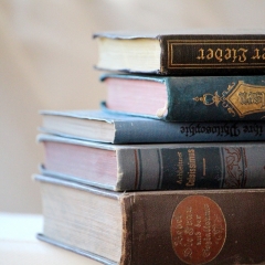 Vienkāršos komercsabiedrību reorganizācijas procesu