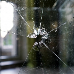 Senāts vēršas Zvērinātu advokātu padomē ar sūdzību