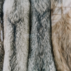 Ierosināta lieta par normām, kas paredz aizliegumu audzēt kažokzvērus tikai kažokādu ieguvei