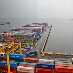 Vēršas EST par VID noteikto muitas parādu