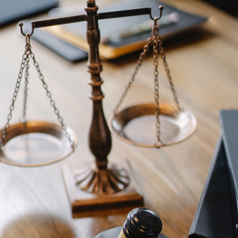 Izbeigta tiesvedība par zemes lietošanas tiesībām un to izmantošanas maksu