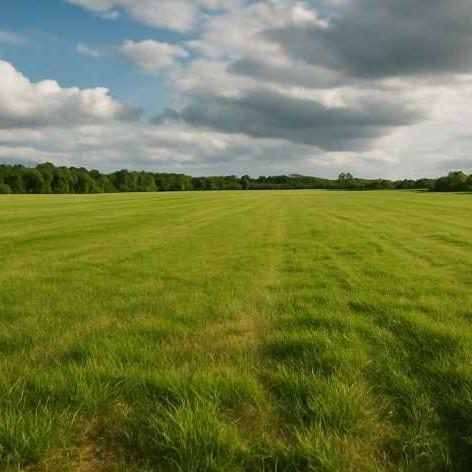 Apvieno lietas par zemes kadastrālās vērtēšanas kārtību